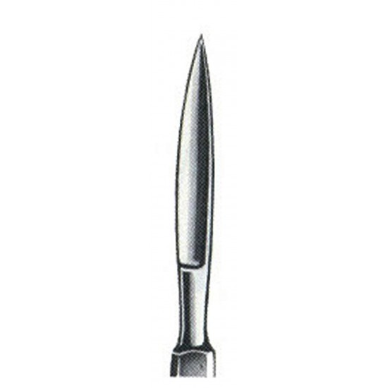 WS- 01-1019-10