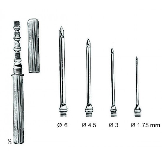 WS- 03-1244-40