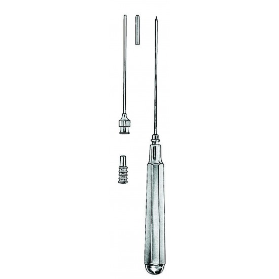 WS- 03-1256-19