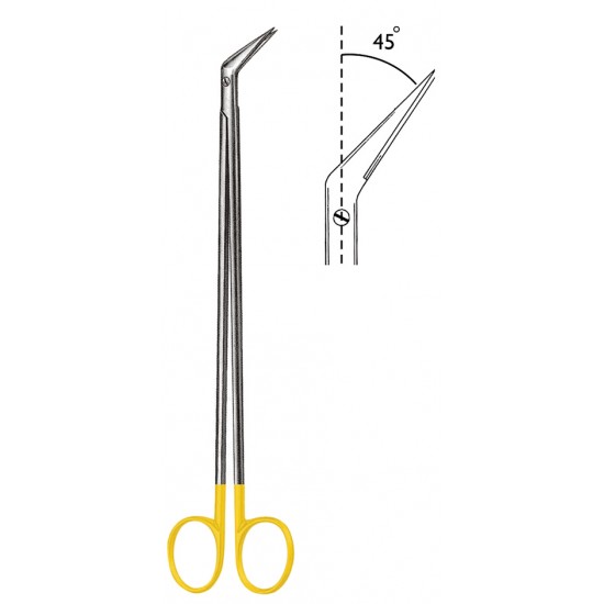 WS- 06-1856-19