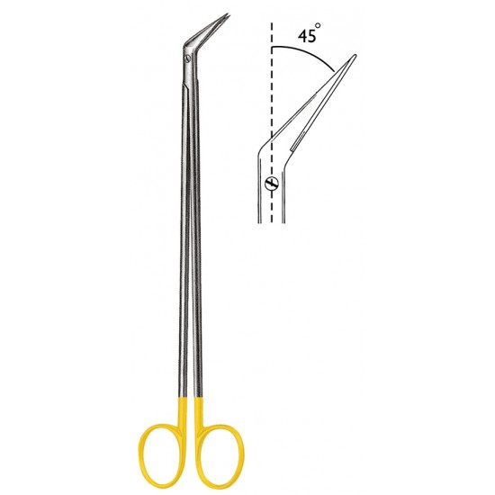 WS- 06-1856-23