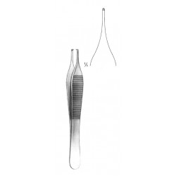 WS- 08-2072-12