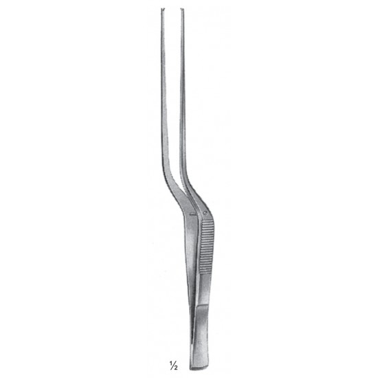 WS- 08-2081-17
