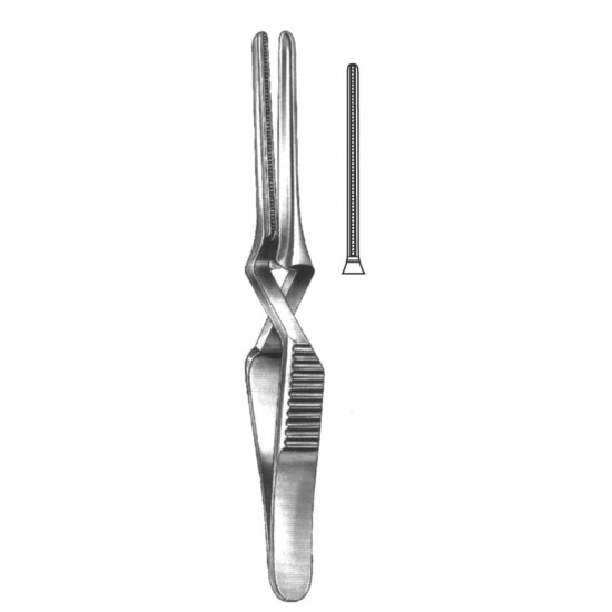 WS- 19-5529-08