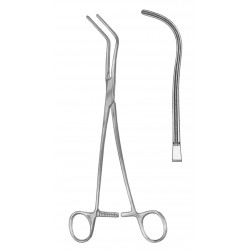 WS- 19-5554-01
