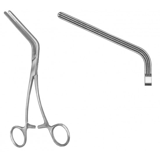 WS- 19-5577-20