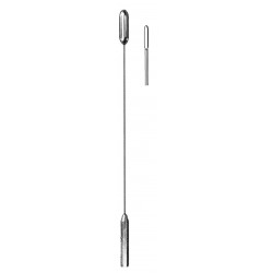 WS- 19-5619-15