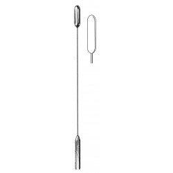 WS- 19-5619-50