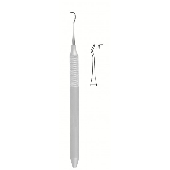 WS-56-1650