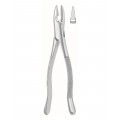 Extracting Forceps, American Pattern