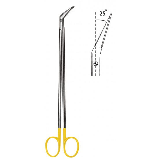 WS- 06-1855-19