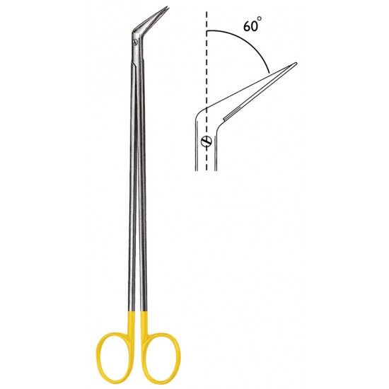 WS- 06-1857-19