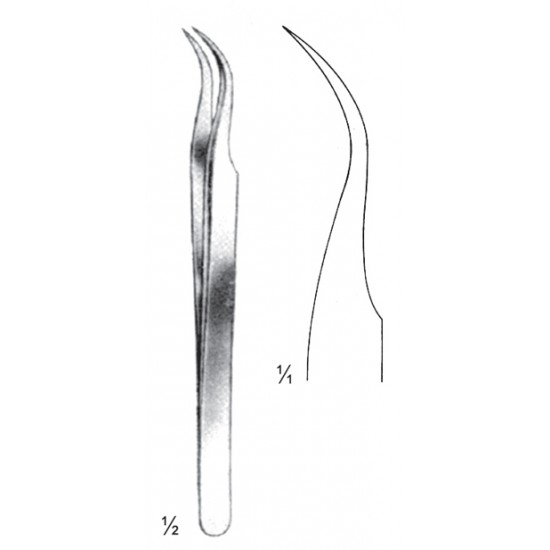 WS- 08-2146-11