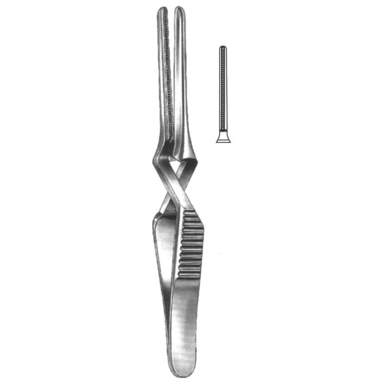 WS- 19-5529-07