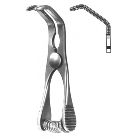 WS- 19-5536-07